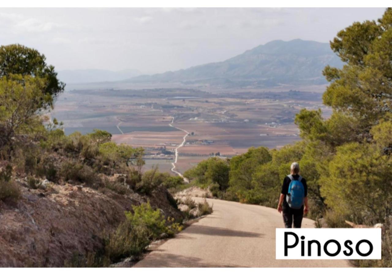 לינה וארוחת בוקר Pinoso Casa Rodriguillo מראה חיצוני תמונה