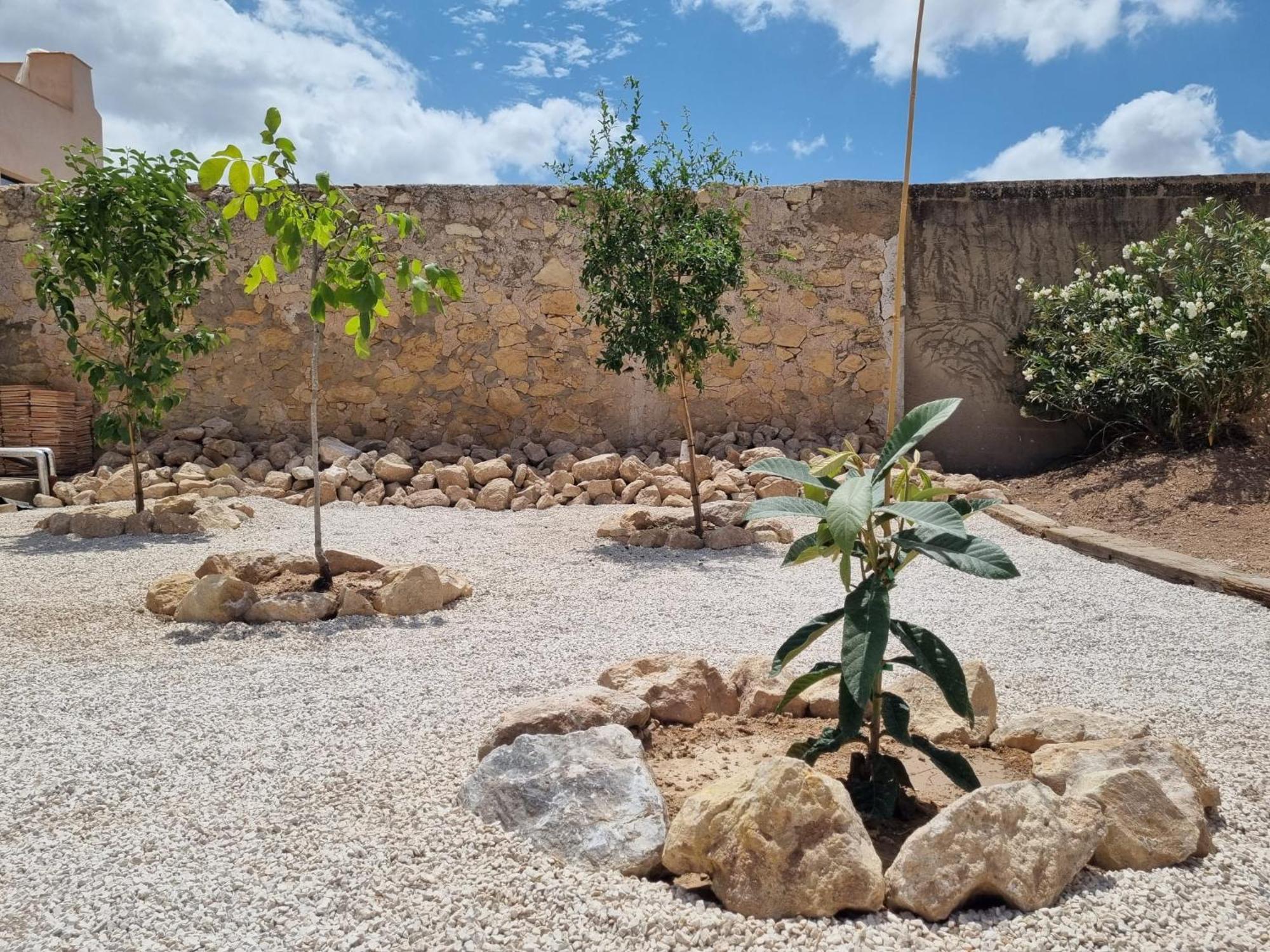 לינה וארוחת בוקר Pinoso Casa Rodriguillo מראה חיצוני תמונה