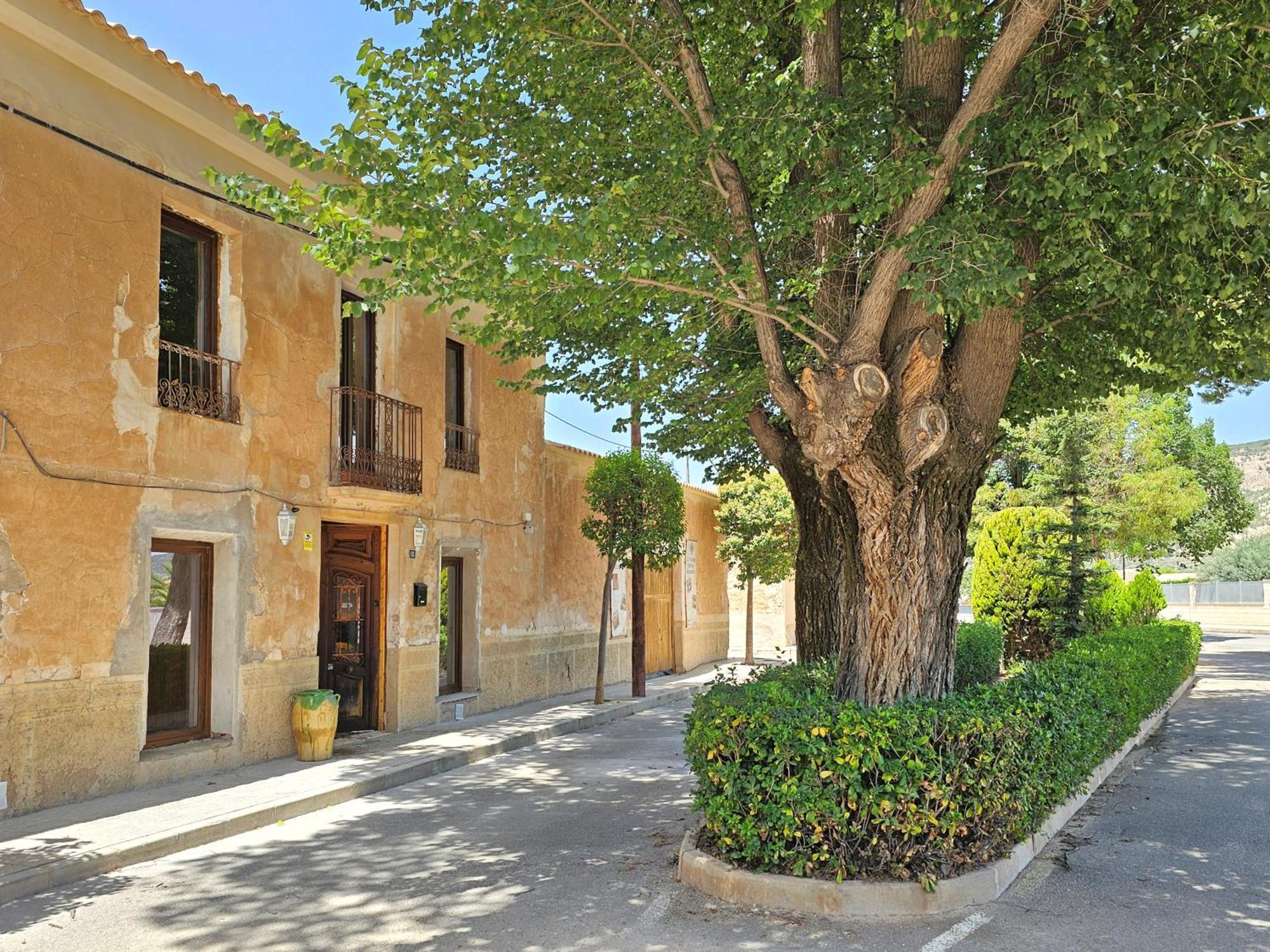 לינה וארוחת בוקר Pinoso Casa Rodriguillo מראה חיצוני תמונה